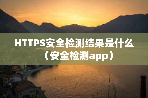 HTTPS安全检测结果是什么（安全检测app）
