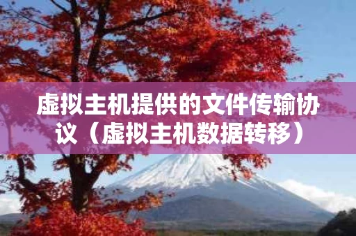 虚拟主机提供的文件传输协议（虚拟主机数据转移）