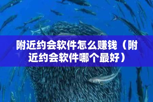 附近约会软件怎么赚钱（附近约会软件哪个最好）