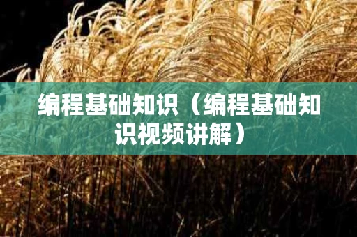 编程基础知识（编程基础知识视频讲解）