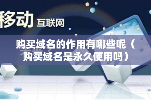 购买域名的作用有哪些呢（购买域名是永久使用吗）