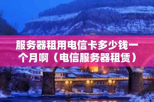 服务器租用电信卡多少钱一个月啊（电信服务器租赁）