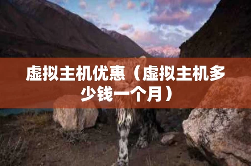 虚拟主机优惠（虚拟主机多少钱一个月）
