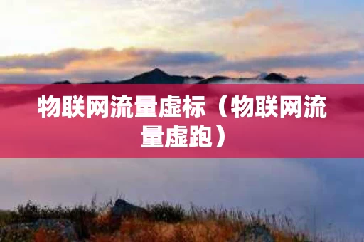 物联网流量虚标（物联网流量虚跑）