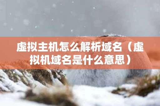 虚拟主机怎么解析域名（虚拟机域名是什么意思）