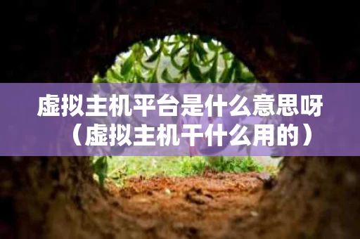 虚拟主机平台是什么意思呀（虚拟主机干什么用的）