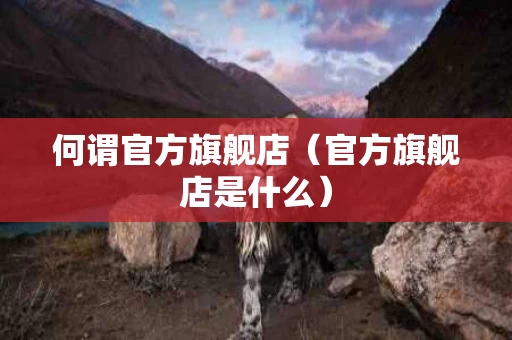 何谓官方旗舰店（官方旗舰店是什么）