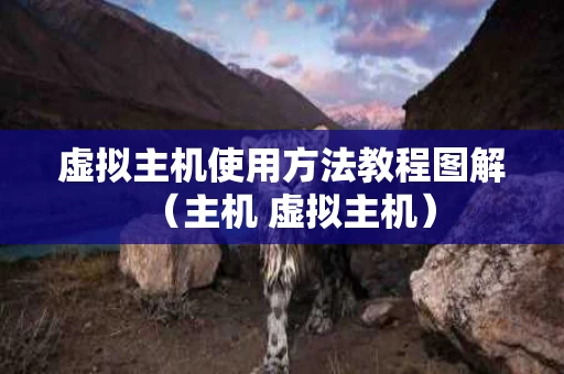 虚拟主机使用方法教程图解（主机 虚拟主机）