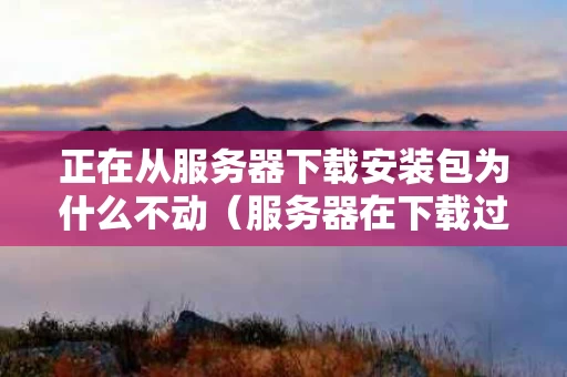 正在从服务器下载安装包为什么不动（服务器在下载过程中）