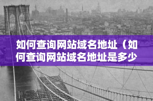 如何查询网站域名地址（如何查询网站域名地址是多少）