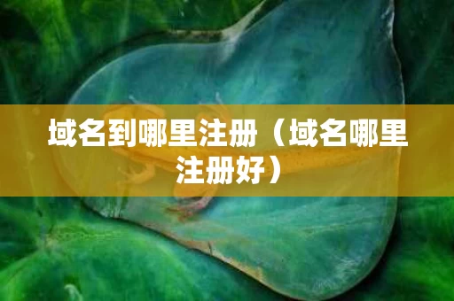域名到哪里注册（域名哪里注册好）