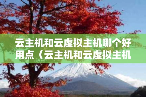 云主机和云虚拟主机哪个好用点（云主机和云虚拟主机的区别）