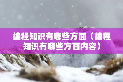 编程知识有哪些方面（编程知识有哪些方面内容）