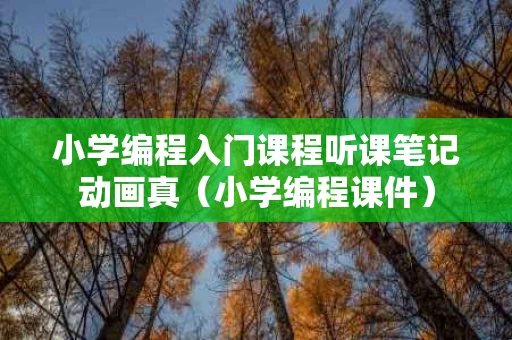 小学编程入门课程听课笔记动画真（小学编程课件）