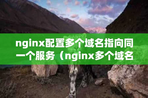 nginx配置多个域名指向同一个服务（nginx多个域名指向不同地址）