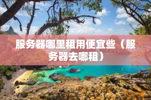 服务器哪里租用便宜些（服务器去哪租）