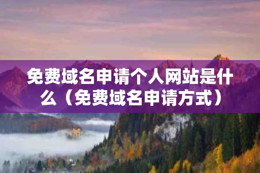 免费域名申请个人网站是什么（免费域名申请方式）