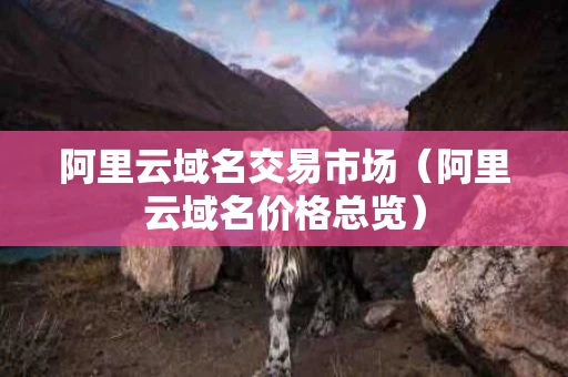阿里云域名交易市场（阿里云域名价格总览）