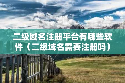 二级域名注册平台有哪些软件（二级域名需要注册吗）