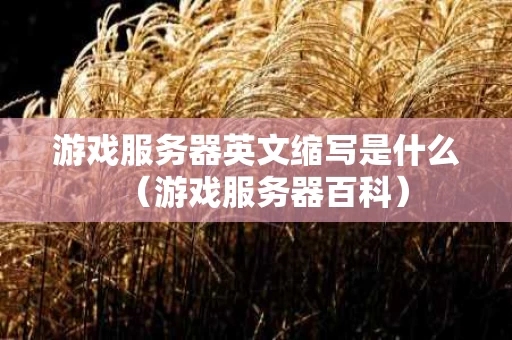 游戏服务器英文缩写是什么（游戏服务器百科）