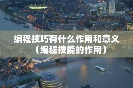编程技巧有什么作用和意义（编程技能的作用）