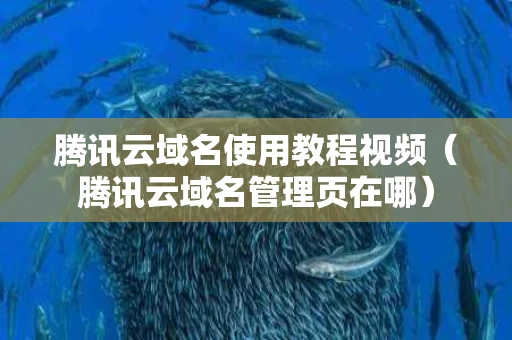 腾讯云域名使用教程视频（腾讯云域名管理页在哪）