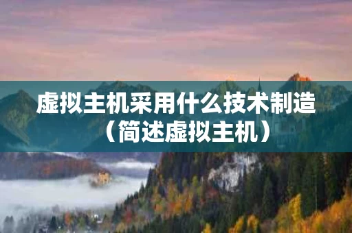 虚拟主机采用什么技术制造（简述虚拟主机）