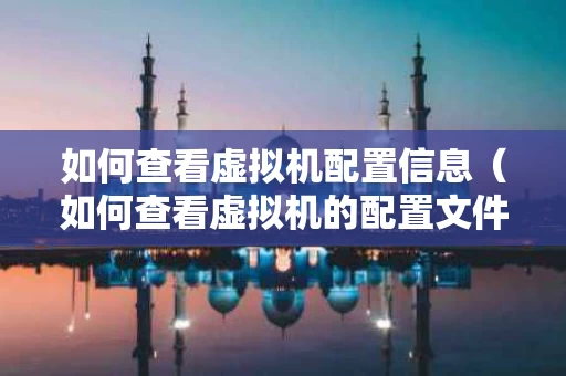 如何查看虚拟机配置信息（如何查看虚拟机的配置文件）