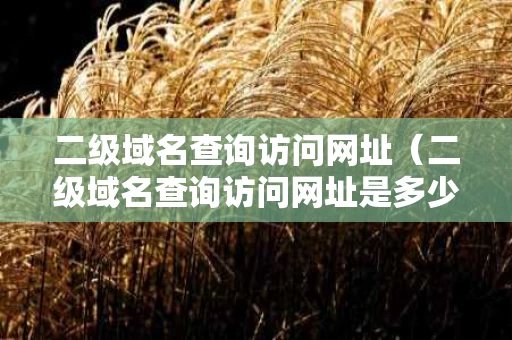 二级域名查询访问网址（二级域名查询访问网址是多少）