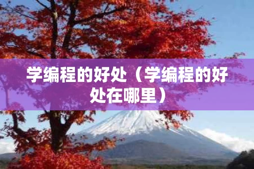 学编程的好处（学编程的好处在哪里）