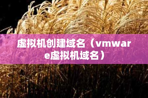 虚拟机创建域名（vmware虚拟机域名）