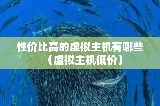 性价比高的虚拟主机有哪些（虚拟主机低价）