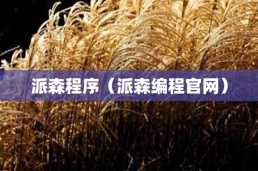 派森程序（派森编程官网）