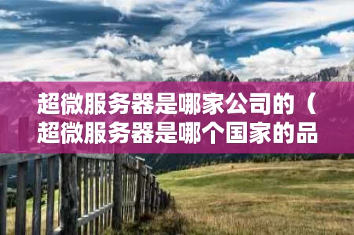 超微服务器是哪家公司的（超微服务器是哪个国家的品牌）