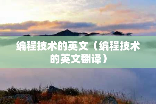 编程技术的英文（编程技术的英文翻译）