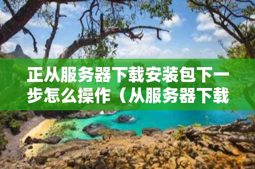 正从服务器下载安装包下一步怎么操作（从服务器下载文件时出现错误怎么办）