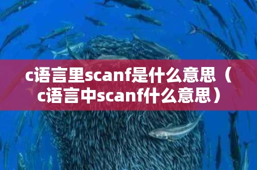 c语言里scanf是什么意思（c语言中scanf什么意思）