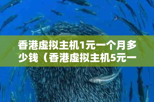 香港虚拟主机1元一个月多少钱（香港虚拟主机5元一月）