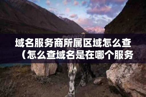 域名服务商所属区域怎么查（怎么查域名是在哪个服务商备案的）
