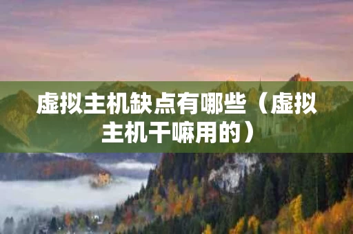 虚拟主机缺点有哪些（虚拟主机干嘛用的）