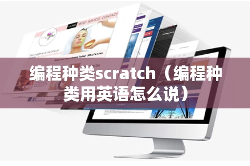 编程种类scratch（编程种类用英语怎么说）