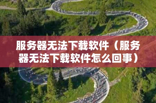 服务器无法下载软件（服务器无法下载软件怎么回事）