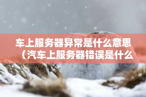 车上服务器异常是什么意思（汽车上服务器错误是什么意思）