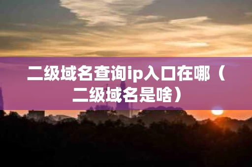 二级域名查询ip入口在哪（二级域名是啥）