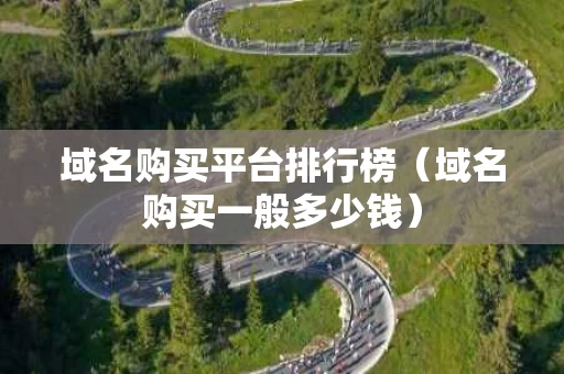 域名购买平台排行榜（域名购买一般多少钱）