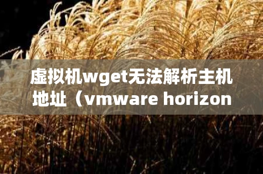 虚拟机wget无法解析主机地址（vmware horizon client无法解析主机名）
