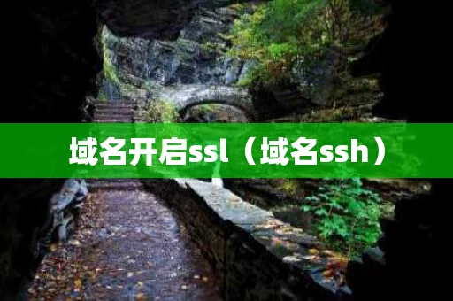 域名开启ssl（域名ssh）