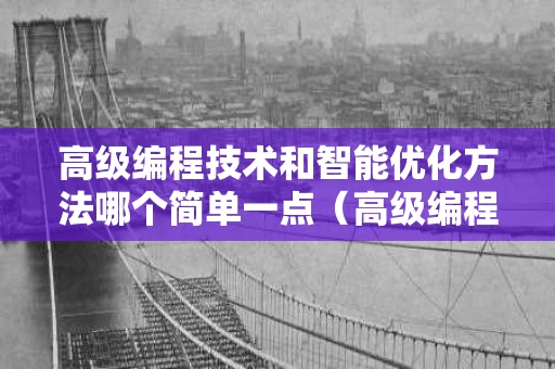 高级编程技术和智能优化方法哪个简单一点（高级编程设计语言有哪些）