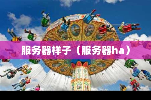 服务器样子（服务器ha）
