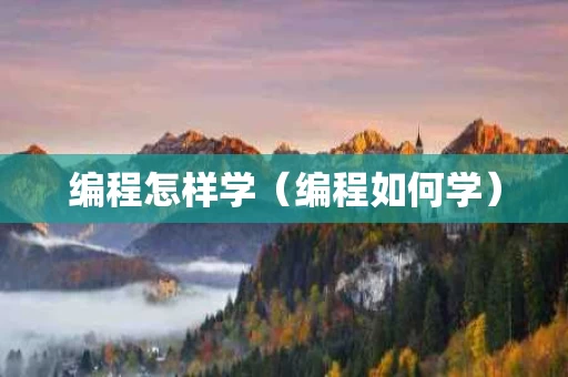 编程怎样学（编程如何学）